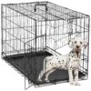 Small Black Metal Dog Crate with Double Doors and Secure Locking System