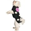 Small Black Polka Dot Dog Sweater for 10-Pound Dogs with 12-Inch Necks at Christmas