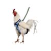 Small Blue Camo Chicken Harness with Leash for Easy Training and Handling