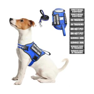 Small Blue Dog Training Vest Harness with Easy Adjustable Straps and Velcro Patches