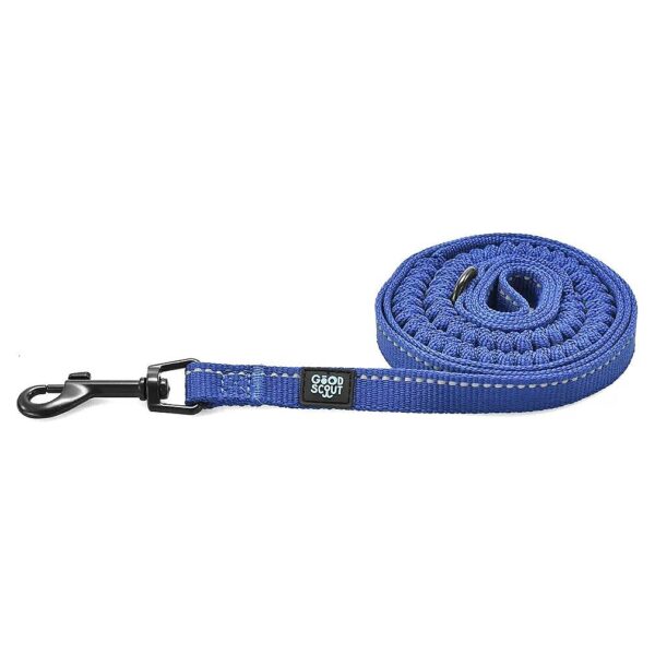 Small Blue Leash for Puppies and Adult Dogs with Durable Straps