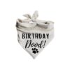 Small Breed Dog Birthday Celebration Beige and Black Reversible Bandanna