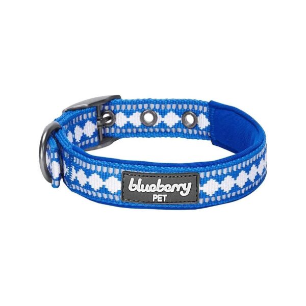 Small Breed Dog Collar with Adjustable Neck Size 9-5 for Palace Blue Pooches