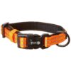 Small Breed Dog Collar with Reflective Visibility and Neoprene Padding in Neon Orange