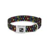 Small Breed Dog Collar with Seatbelt Style Buckle and Paw Print Pattern