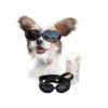 Small Breed Dog Goggles with Protective Sunglasses for Outdoor Activities