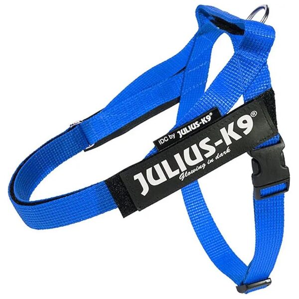 Small Breed Dog Harness with Blue Belt and IDC Comfort Design