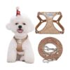 Small Breed Dog Harness with Multi-Functional Leash and Patented No-Pull System