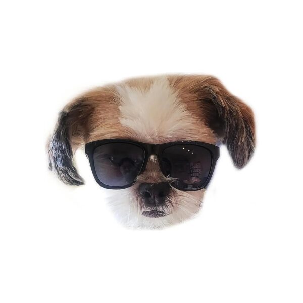 Small Breed Dog Sunglasses Retro Style for Teacup Toy Dogs 15lbs