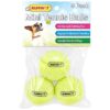 Small Breed Dog Toy Tennis Balls for Park Beach and Home Play