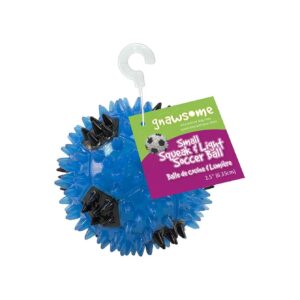 Small Breed Dog Toy with Loud Squeaker and Gum Health