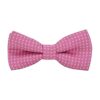 Small Breed Dog and Cat Adjustable Pet Bow Tie for Wedding Party Gifts