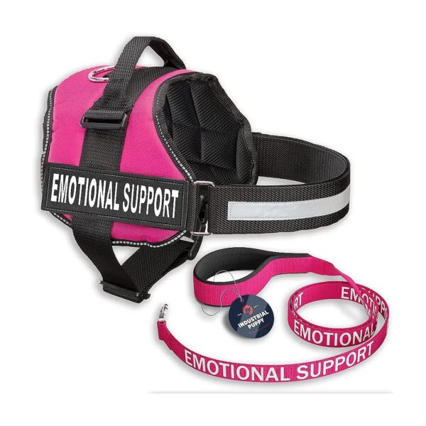 Small Breed Emotional Support Vest with Backpack Accommodation and ESA Leash Set Pink