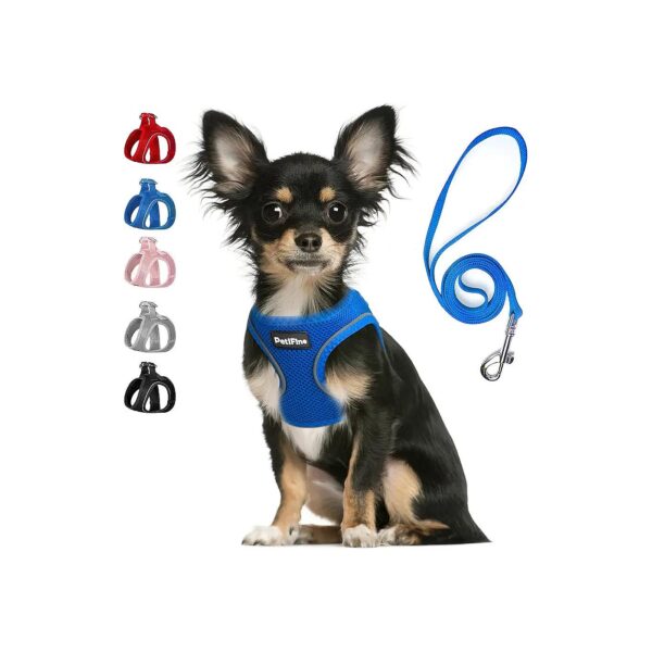 Small Breed Puppy Step-in Harness with Air Mesh for Comfort and Support