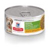 Small Breed Senior Wet Dog Food with Salmon and Vegetables for Overall Health