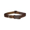 Small Brown Nylon Dog Webbing Collar Made in USA Wide 5/8" Adjusts 10-14