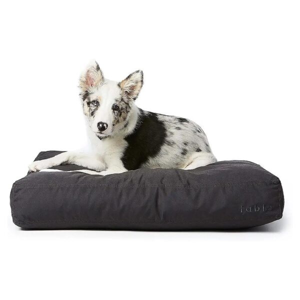 Small Dark Shadow Dog Bed with Memory Foam Fill and Machine Washable Pet Bed 24x18 inches