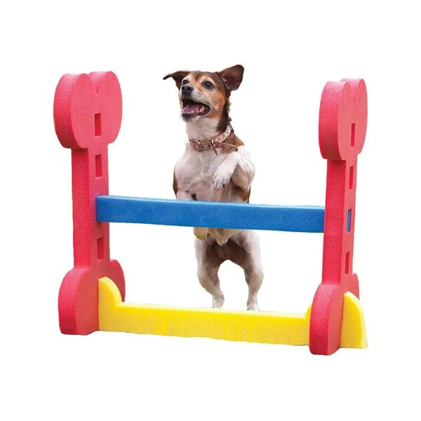 Small Dog Agility Foam Hurdle for Fun and Exercise