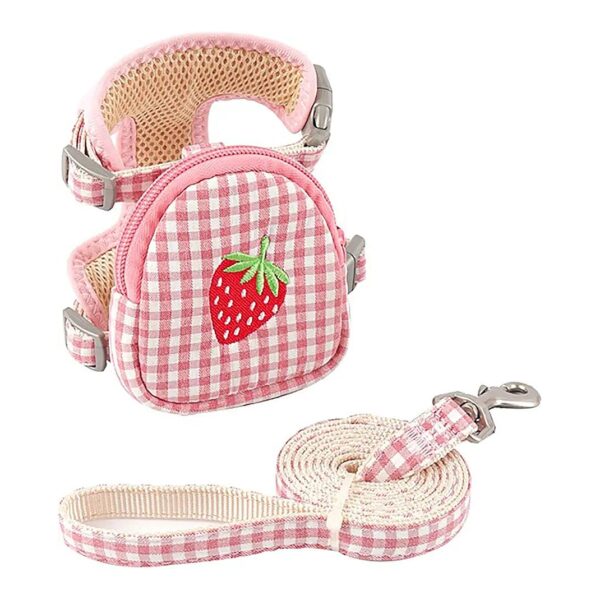 Small Dog Backpack Harness with Adjustable Leash and Training Lead for Outdoors