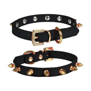 Small Dog Cat Collar with Golden Spiked Studded Leather and Rhinestone Buckle