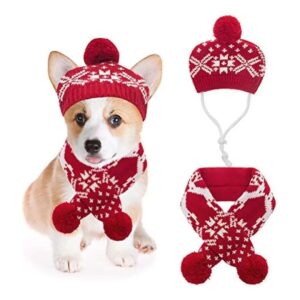 Small Dog Cat Winter Clothing Set with Knit Snowflake Reindeer Print