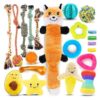 Small Dog Chew Toys 21 Pack for Teething Pets Cute Squeak Toys