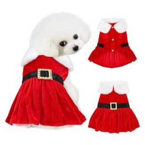 Small Dog Christmas Outfit with Red Velvet Skirt and Black Belt for Puppy Girl