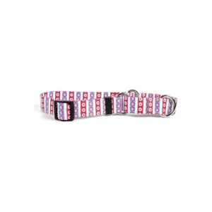 Small Dog Collar with Cinching Action for Optimal Control and Comfort