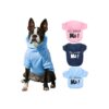 Small Dog Fleece Hoodie with Pullover Style for Easy Dressing, Blue, Medium