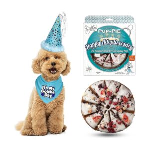 Small Dog Gotcha Day Accessory Set with Blue Bandana, Adjustable Hat, and Vegan Pie