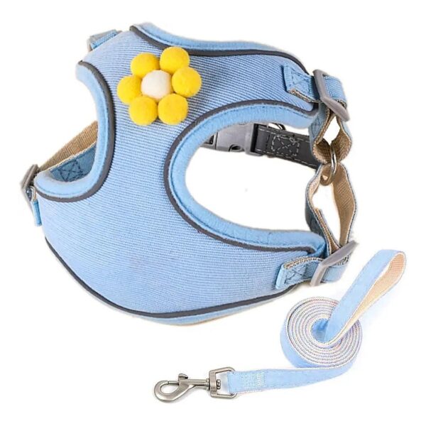 Small Dog Harness and Leash Set for Puppy Walking with Reflective Strip Night Safety