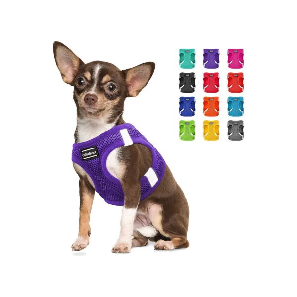 Small Dog Harness with Comfortable Air Mesh and Reflective Features for Easy Walks