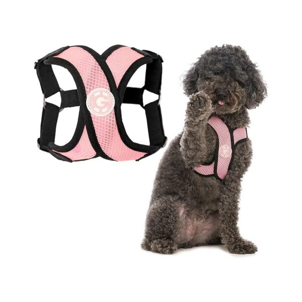 Small Dog Harness with Comfortable and Secure X Frame Design for Easy On and Off Use