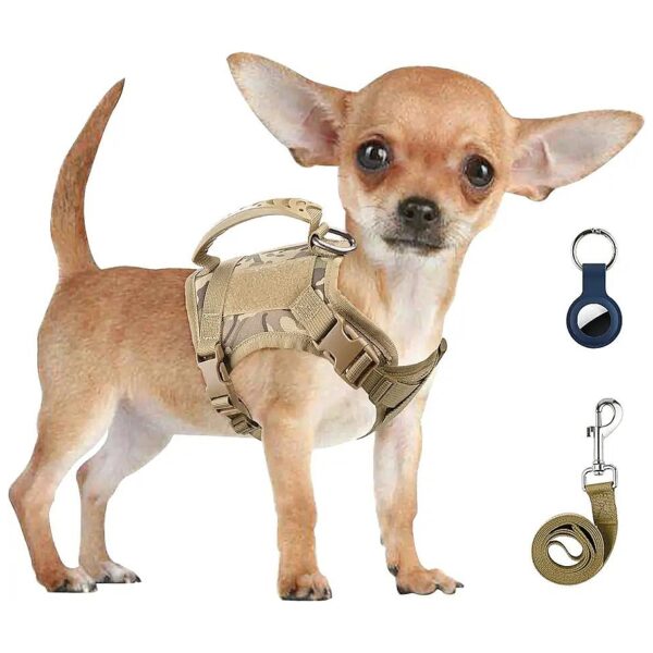 Small Dog Harness with Handle and Leash for Walking, Hiking, and Training