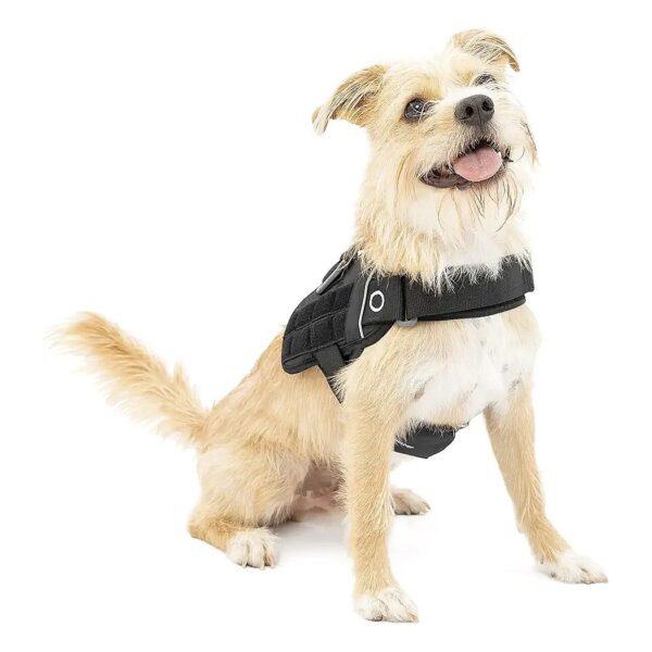 Small Dog Harness with MOLLE Compatible Patches and Ventilated Mesh Padded Design