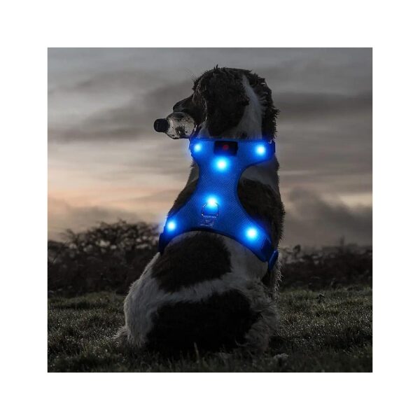 Small Dog Night Walking Safety Harness with Reflective Glow in the Dark Vest