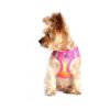 Small Dog Reflective Step in Harness with Buckle Closure and Mesh American River Fabric