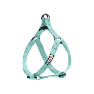 Small Dog Teal Harness for Puppy Training and Walking Sessions