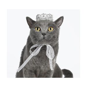 Small Dog Tiara with Silver-Plated Crystal Rhinestones for Costume Accessories