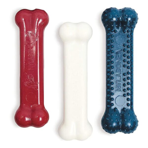 Small Dog Toys for Aggressive Chewers with Nylabone Power Chew