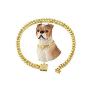 Small Dog Training Collar in 18K Gold with 316L Stainless Steel and AAA Zirconia Accents