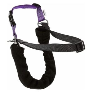 Small Dog Training Harness and Lead Set with DVD Tutorial for Pulling Dogs