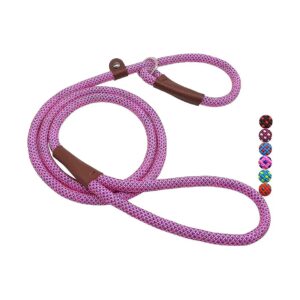 Small Dog Training Leash with Adjustable Neck Size for Active Canines