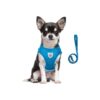 Small Dog Walking Harness and Leash with Adjustable Buckle Straps and Soft Padded Vest