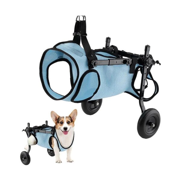 Small Dog Wheelchair for Back Legs Adjustable for Comfortable Support