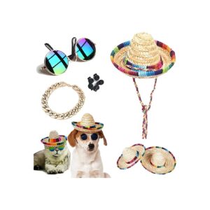 Small Dog and Cat Photo Props Set including Sunglasses, Collar and Straw Hats