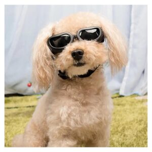 Small Dog and Cat Sunglasses with Soft Foam Pads and Adjustable Headband for Comfort