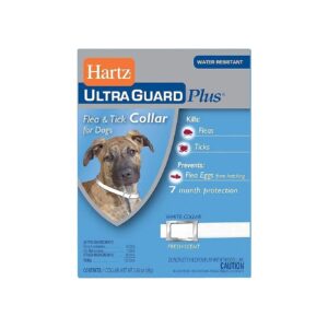 Small Dog and Puppy Flea and Tick Prevention with 7 Month Protection and 22 Inch Neck