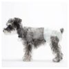 Small Female Dog Protection - 30 PCS Disposable Diapers with Quick-Dry Absorbent Material