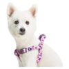 Small Garden Floral Dog Harness with Adjustable Chest Girth 5-5